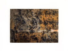 Load image into Gallery viewer, EARLY MORNING _ 14x20"