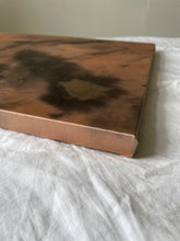 Load image into Gallery viewer, avocado - naturally dyed textile