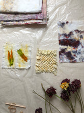 Load image into Gallery viewer, bundle dyeing: natural dyes virtual workshop - sept 12 & 13 2020