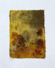 Load image into Gallery viewer, jungle - naturally dyed textile