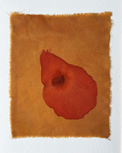 Load image into Gallery viewer, coreopsis halo - naturally dyed textile