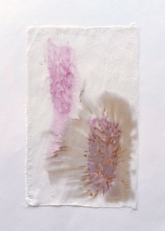 impressions - naturally dyed textile