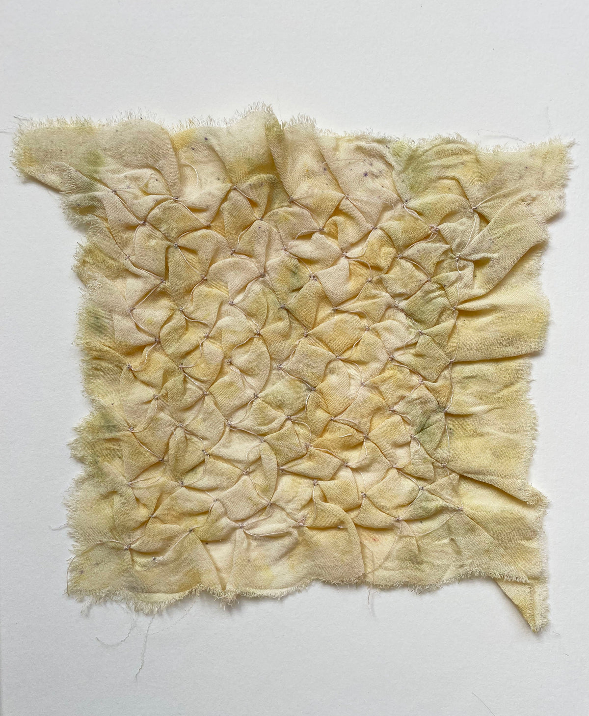 squash - naturally dyed textile