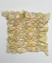 Load image into Gallery viewer, squash - naturally dyed textile