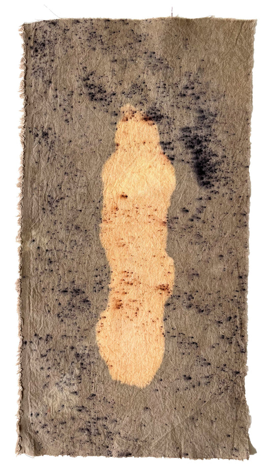 seeds 4 - naturally dyed textile