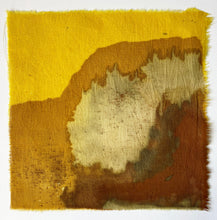 Load image into Gallery viewer, july - naturally dyed textile