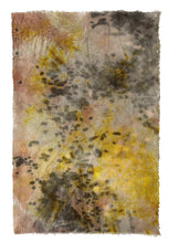 Load image into Gallery viewer, rain II - naturally dyed textile