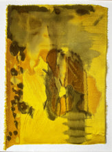 Load image into Gallery viewer, osage - naturally dyed textile
