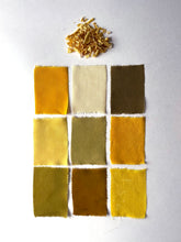 Load image into Gallery viewer, painting with pH - natural dyes virtual workshop - may 22 & 23 2021