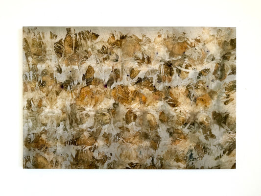 BOTANY III _ 24x36"