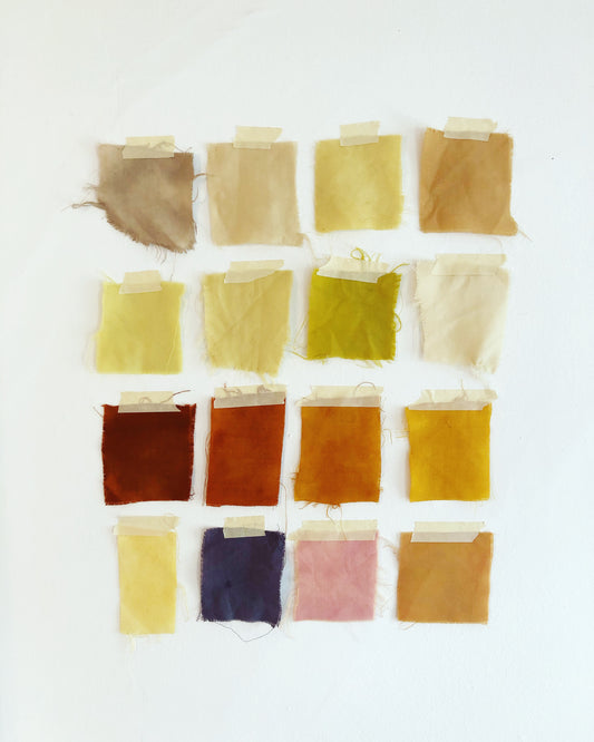 bundle dyeing: natural dyes virtual workshop - aug 1 & 2 2020