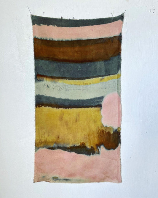 painting with pH: modifying color - saturday july 24