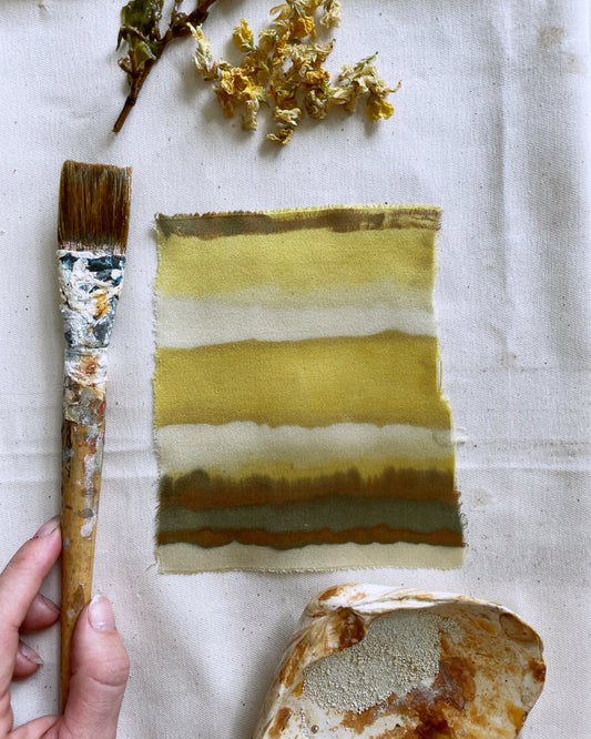 painting with pH: modifying color - saturday july 24