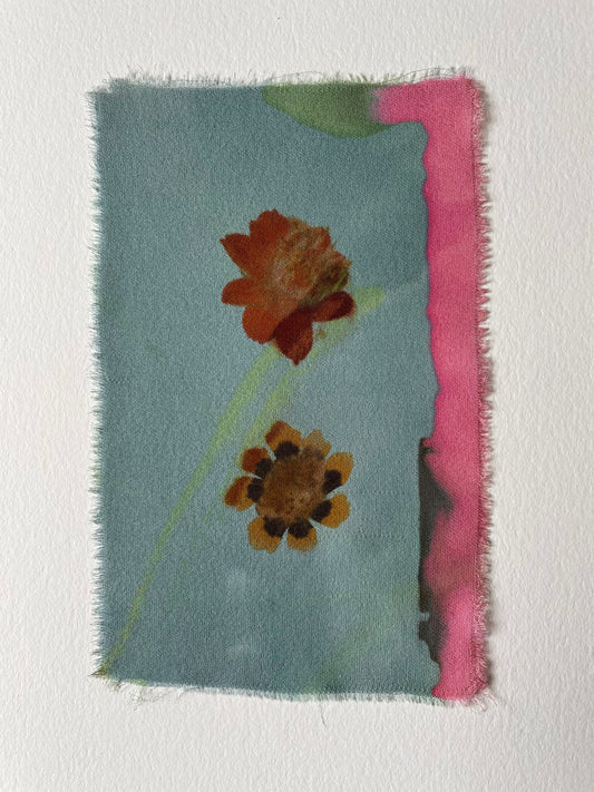 bait - naturally dyed textile