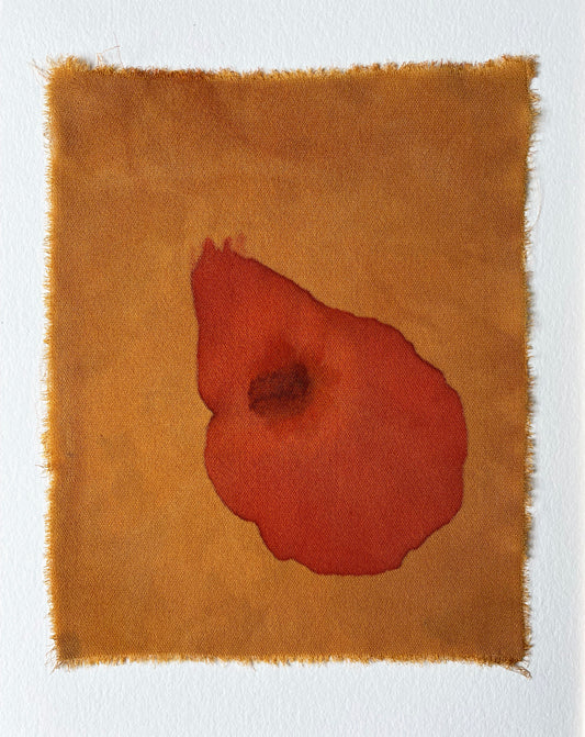coreopsis halo - naturally dyed textile