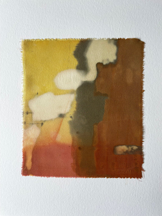 forsythia I - naturally dyed textile