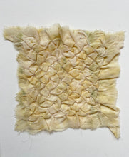 Load image into Gallery viewer, squash - naturally dyed textile

