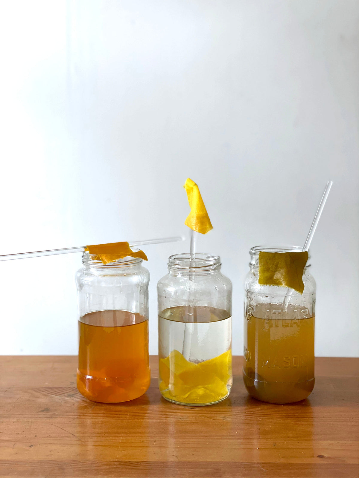 painting with pH / pre-recorded workshop + handouts