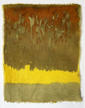Load image into Gallery viewer, old growth - naturally dyed textile
