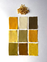Load image into Gallery viewer, painting with pH - natural dyes virtual workshop - may 22 &amp; 23 2021
