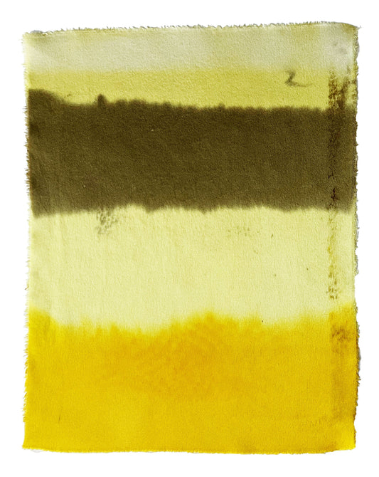 daffodil - naturally dyed textile